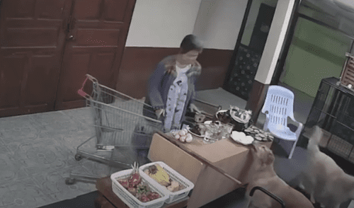 El video ha sido compartido en la página Viral Press. Foto: captura de Facebook