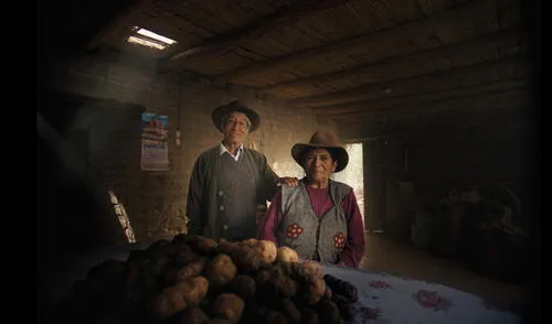 Inca Kola es parte de Coca-Cola Perú. Foto: Inca Kola