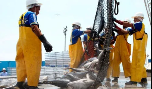 La pesca es una de las actividades permitidas que requiere el pase laboral. Foto: difusión La pesca es una de las actividades permitidas que requiere el pase laboral. Foto: difusión
