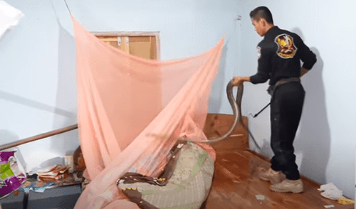 El video viral ha sido compartido en el canal Viral Press. Foto: captura de YouTube