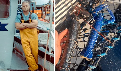 Los pescadores que se cruzan con estas langostas creen que es un signo de buena suerte. Foto: captura de Facebook