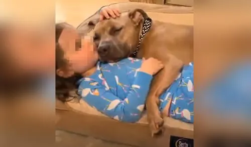 La tierna 'amistad' que nació entre el can y la niña conmovió a más de uno en las redes sociales. Foto: captura de YouTube