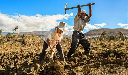 Los créditos son hasta de S/30 000. Foto: difusión