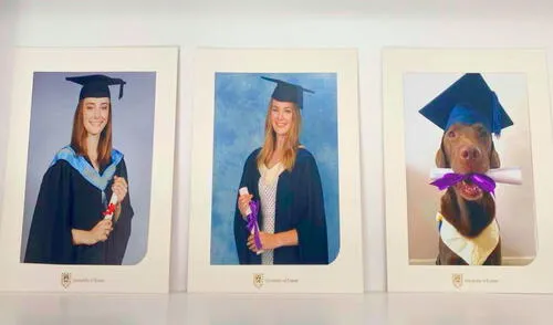 Una joven regresó a casa después de unos meses en la universidad y descubrió que sus padres colgaron en la pared una foto de su perro en su graduación. Foto: captura de TikTok