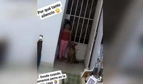 La tierna escena de esta niña junto a su nueva mascota emocionó a los cibernautas. Foto: captura de TikTok