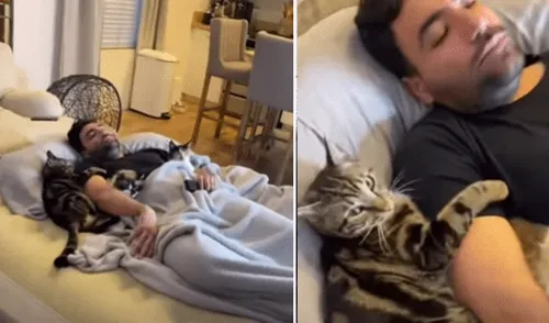 El video viral ha sido compartido en la página DontStopMeowing. Foto: captura de Facebook.