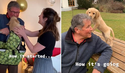 Esta tierna historia se volvió viral en las redes sociales. Foto: captura de TikTok