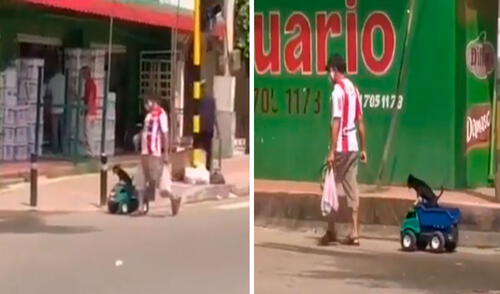 Un hombre llamó la atención de sus vecinos al llevar a su querida mascota hasta un mercado montado en un vehículo de juguete. Foto: captura de TikTok