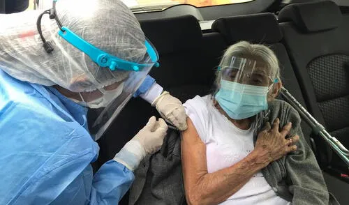 Vacuna car están ubicados en las universidades César Vallejo y Particular de Chiclayo (UDCh). Foto: Geresa.