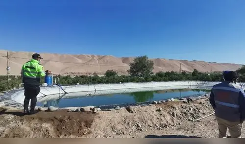 Agricultores reportaron el lamentable hallazgo este lunes durante la mañana. Foto: difusión