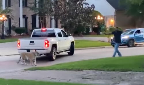 "Fue muy aterrador porque esta es una comunidad muy familiar", relató un vecino. Foto: Captura de KHOU TV