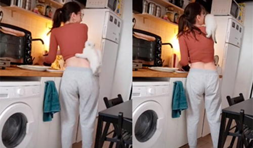 La grabación captó el preciso momento en el que el minino trepa por la espalda de la mujer. Foto: captura de TikTok