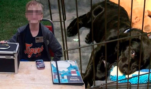 Un niño no tenía el dinero para pagar la operación de su mascota, por ello, puso a la venta sus objetos más preciados para conseguir el objetivo. Foto: Kymberly Woodruff/ Facebook Un niño no tenía el dinero para pagar la operación de su mascota, por ello, puso a la venta sus objetos más preciados para conseguir el objetivo. Foto: Kymberly Woodruff/ Facebook