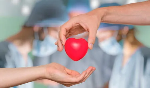 Un donante puede ayudar a 10 personas a seguir con vida. Foto: difusión