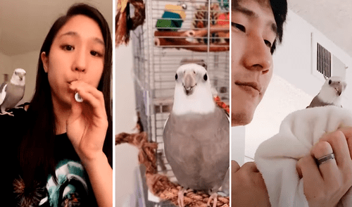 A Wilbur le encanta seguir y interpretar canciones populares con su familia. Foto: captura de YouTube / Caters Clips