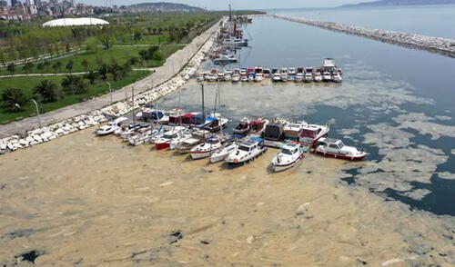 Los 'mocos marinos' se han visualizado en diferentes distritos de Turquía. Foto: Anadolu