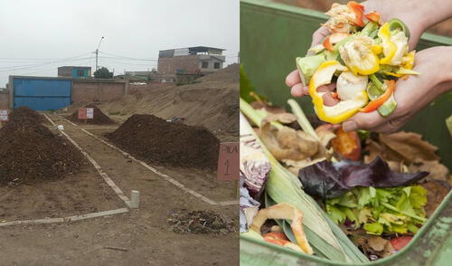 Bioflash ha trabajado con las comunas de Villa El Salvador, Villa María del Triunfo, Magdalena y Pueblo Libre. Foto: composición/Facebook Bioflash/difusión