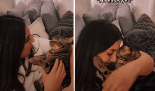 El video viral ha sido compartido en el canal DontStopMeowing. Foto: captura de YouTube El video viral ha sido compartido en el canal DontStopMeowing. Foto: captura de YouTube