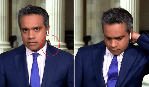 El reportero veterano retrocedió asustado, mientras sus colegas reían por el hecho. Foto: captura de Facebook