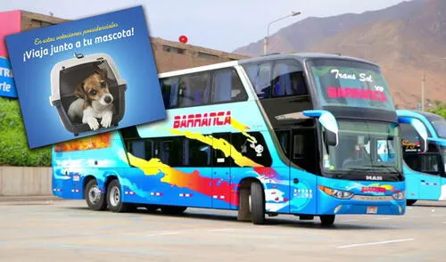 Empresa pide respetar las medidas de seguridad durante el viaje. Foto: composición LR / Facebook Empresa pide respetar las medidas de seguridad durante el viaje. Foto: composición LR / Facebook