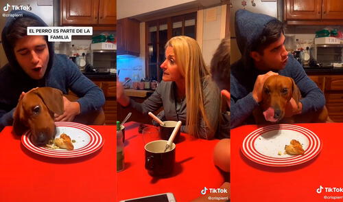 El hombre defendió a su canino porque considera que al ser un miembro más de la familia debe comer con ellos en la misma mesa. Foto: captura de TikTok