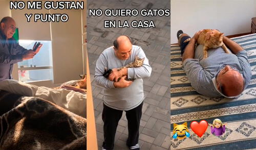 La joven captó en múltiples secuencias cómo su padre disfruta de engreír a sus mininos. Foto: captura de TikTok La joven captó en múltiples secuencias cómo su padre disfruta de engreír a sus mininos. Foto: captura de TikTok