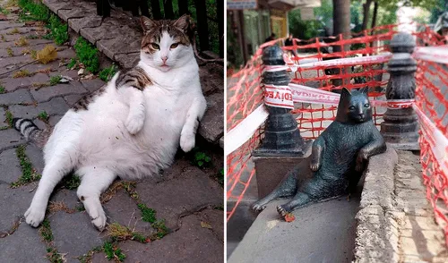 Aunque han pasado más de 5 años, este peludo se ganó el cariño de todos los habitantes. Foto: Facebook/Anadolu Kedisi Aunque han pasado más de 5 años, este peludo se ganó el cariño de todos los habitantes. Foto: Facebook/Anadolu Kedisi