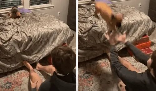 El video viral ha sido compartido en el canal RM Video. Foto: captura de YouTube El video viral ha sido compartido en el canal RM Video. Foto: captura de YouTube