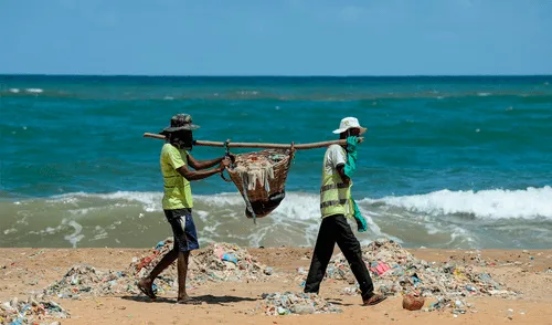 “Estamos devastando los ecosistemas que sustentan nuestras sociedades", subrayó la ONU. Foto: AFP “Estamos devastando los ecosistemas que sustentan nuestras sociedades", subrayó la ONU. Foto: AFP