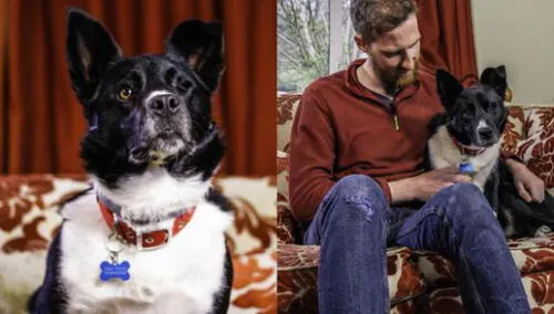 Mark Greener, uno de los encargados en atender al animal, dijo que de alguna manera Jake parece recordarlo y confía en él. Foto: captura de YouTube