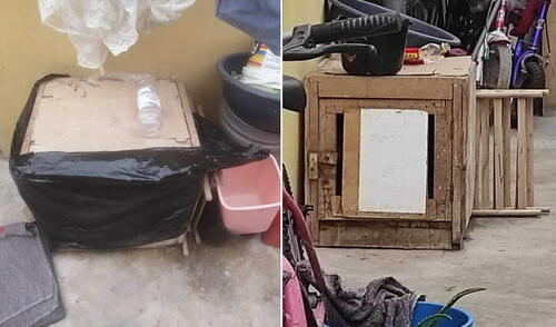 Usuarios también denunciaron el maltrato animal vía redes sociales. Foto: difusión