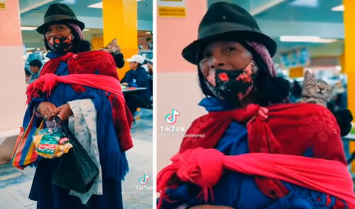 Un joven grabó el tierno momento en que un gatito acompañó a su dueña a realizar sus labores, con la intención de no quedarse solo en casa. Foto: captura de TikTok Un joven grabó el tierno momento en que un gatito acompañó a su dueña a realizar sus labores, con la intención de no quedarse solo en casa. Foto: captura de TikTok