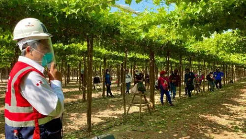 Inspección hizo que empresas respetan el derecho de sus trabajadores. Foto: difusión