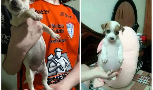 Foto: captura de Twitter Foto: captura de Twitter