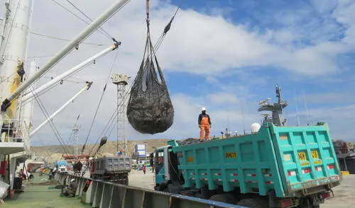 A la estación naval de Paita llegó la materia prima para producir las conservas. Foto: CITEpesquero Piura A la estación naval de Paita llegó la materia prima para producir las conservas. Foto: CITEpesquero Piura