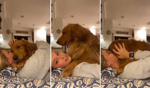 La reacción del can se hizo viral en redes sociales. Foto: captura de YouTube