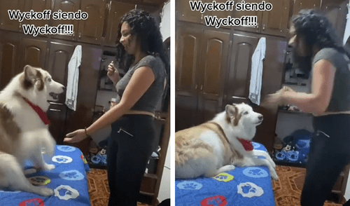 El video sorprendió a los usuarios. Foto: captura de TikTok