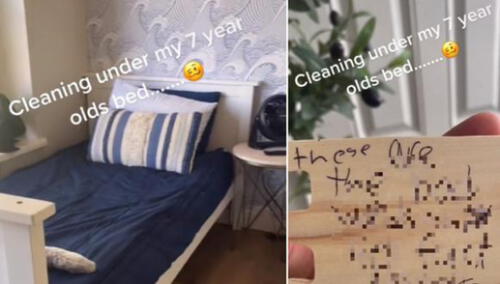 Todo transcurría con normalidad, hasta que la madre aseó debajo de la cama. Foto: captura de TikTok
