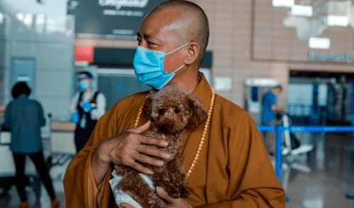 El monje cuida a 8.000 perros en su templo y en un refugio de los suburbios de Shanghái, donde el cambio del estilo de vida trae aparejado el abandono de animales. Foto: AFP