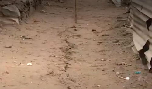 Los ciudadanos pidieron ayuda del Gobierno para la construcción de muros de contención. Foto: captura de Canal N Los ciudadanos pidieron ayuda del Gobierno para la construcción de muros de contención. Foto: captura de Canal N