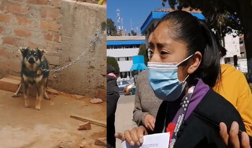 Hecho se registra en el jirón Topacio del sector Enace - La Capilla en Juliaca. Foto: HBA Noticias