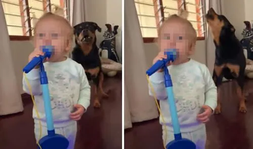 La tierna escena de esta pequeña logró cautivar a miles en las redes sociales. Foto: captura de YouTube