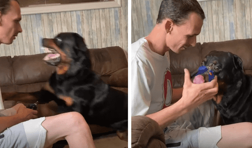 El video sorprendió a miles de usuarios de las redes sociales. Foto: captura de TikTok El video sorprendió a miles de usuarios de las redes sociales. Foto: captura de TikTok