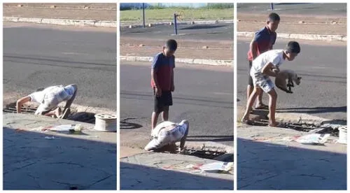 Aunque otro niño se acerca para ayudarlo, es el primero quien logra, por sus propios medios, rescatar al animal. Foto: captura de Instagram