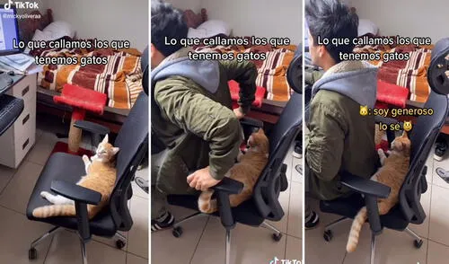 Miles de usuarios no han parado de reír con estas imágenes. Foto: captura de TikTok