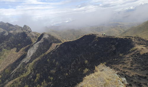 Incendio causó la destrucción de extensas áreas de vegetación. Foto: Municipalidad de Poroy