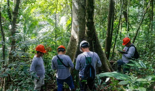 Investigadores brindaron un informe de acuerdo a las supervisiones de campo. Foto: difusión Investigadores brindaron un informe de acuerdo a las supervisiones de campo. Foto: difusión