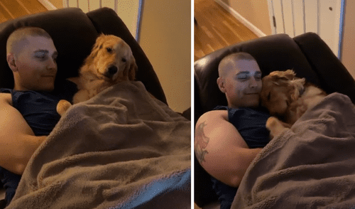 El video ha causado gran sensación en las redes sociales. Foto: captura de TikTok