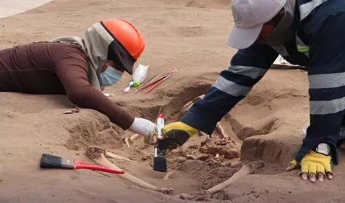 Trabajos en campo deben culminar en agosto. Foto: GORE Moquegua