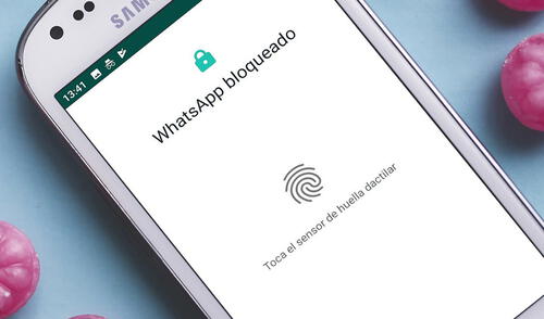 Gracias a esta función, solo tu podrás entrar a tu cuenta de WhatsApp. Foto: Xataka